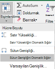 Giriş Sayfası > resmi Sütun Genişliğini Otomatik Sığdır'ı Biçimlendir >