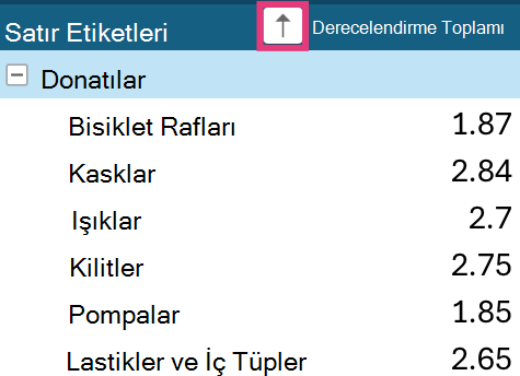 Satır etiketlerinde PivotTable sıralama oku