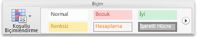 Giriş sekmesi, Biçim grubu