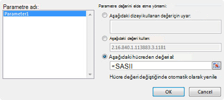 MS Sorgu Parametresi iletişim kutusu