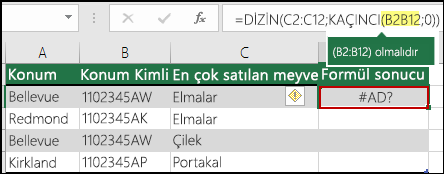 Aralık başvurusunda iki nokta üst üste işaretinin eksik olmasından kaynaklanan #NAME? hatası