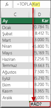 Söz diziminde tanımsız bir ada yapılan başvurudan kaynaklanan #NAME? hatası