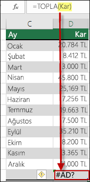Söz diziminde tanımlı adda yapılan bir yazım hatasından kaynaklanan #NAME? hatası
