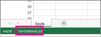 Kaydırma Kilidi ekranın sol alt köşesinde görüntülenir