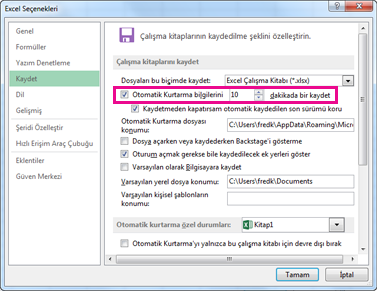 Excel Seçenekleri iletişim kutusunda Kaydetme sekmesinde Otomatik Kurtarma seçeneği