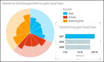 Kıtalara göre satışta 2007 verilerinin seçili olduğu Power View pasta grafiği