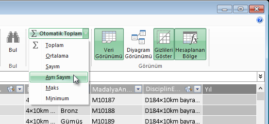 Power Pivot’ta Ayrı Sayım oluşturma