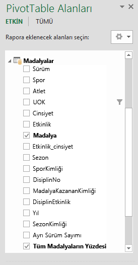 Hesaplanan Alanları gösteren PivotTable Alanları