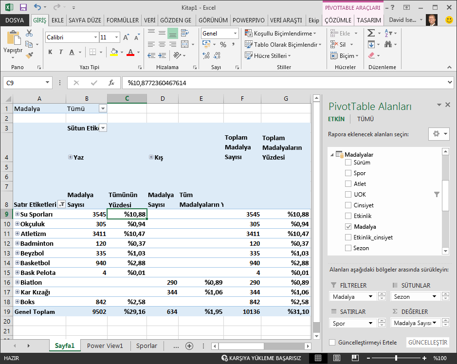 Yüzde verilerini görüntüleyen PivotTable