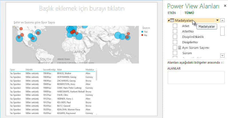 Power View tablosu varsayılan alan kümelerini otomatik olarak ekler