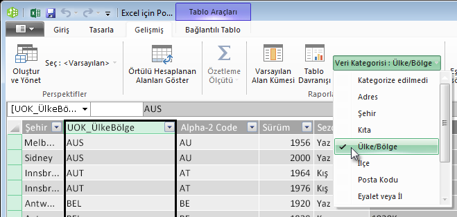 Power Pivot’ta Veri Kategorileri