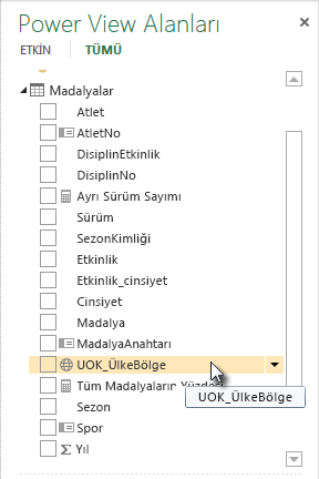 Power View Alanları’ndaki coğrafi konum simgesi
