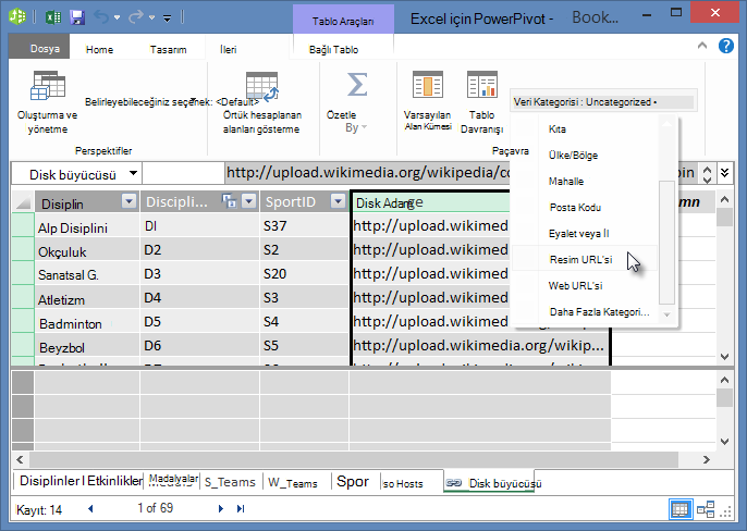 PowerPivot’ta Veri Kategorisi’ni ayarlama