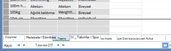 gizli tablo sekmeleri PowerPivot’ta gri olur
