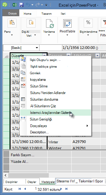 Excel İstemci Araçları’ndan tablo alanlarını gizlemek için sağ tıklatma