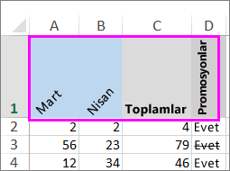 Çeşitli açılarda döndürülen metin satırı.