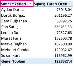 Satır Etiketi filtresi