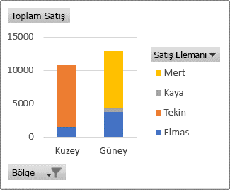 Her bölgede tek tek satış elemanlarının satışlarını gösteren PivotChart raporu