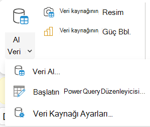 Şeritte Veri Al menüsü.