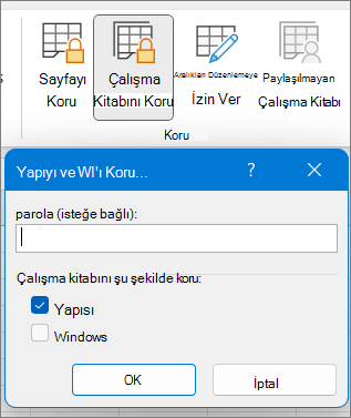 Çalışma Kitabını Koru iletişim kutusu