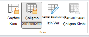 Çalışma Kitabını Koru vurgulanmış