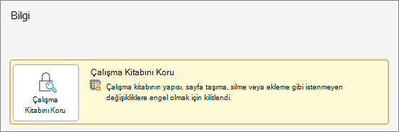 Bilgi menüsünün altındaki Çalışma Kitabını Koru seçeneği
