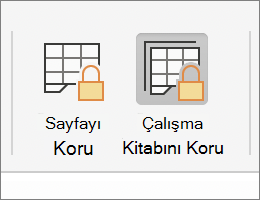 MacOS'te Çalışma Kitabını Koru vurgulanmış