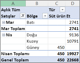 PivotTable raporu örneği