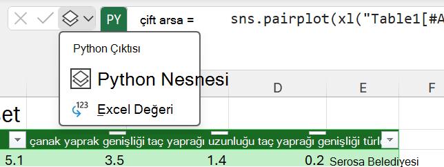 Çıktı türünü değiştirmek için Formül Çubuğu'nun yanındaki Python çıkış menüsünü kullanın.