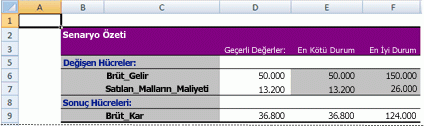 Excel Senaryo Özet raporu