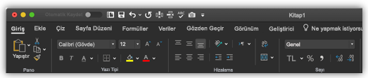 Koyu moddaki Excel şeridinin görüntüsü