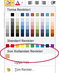 Son renk seçeneği
