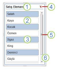PivotTable dilimleyici öğelerinin ekran görüntüsü.