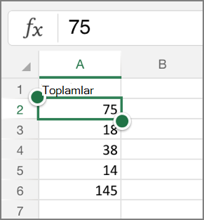 Satırları dondurma sütunları
