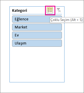 Çoklu seçim düğmesi vurgulanmış olarak Dilimleyici seçimleri