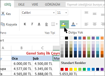 Şerit üzerindeki dolgu düğmesi ve seçenekleri