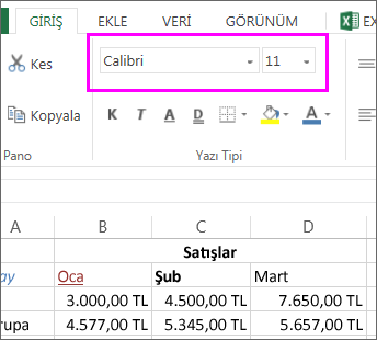 ŞERİTTEKİ YAZI TİPİ DÜĞMELERİNDEN FARKLI BİR YAZI TİPİ STİLİ VEYA BOYUTU seçme