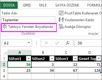 Tablo Araçları’ndaki tabloyu yeniden boyutlandır seçeneğini kullanma