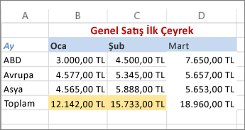 metin rengi ve hücre arka plan dolgusu uygulanmış örnek