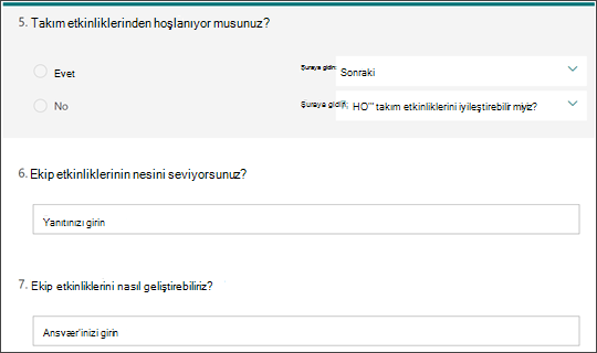 Dallanma sorusu örneği