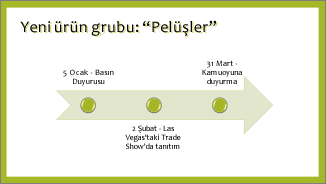 Temel Zaman Çizelgesi Örneği