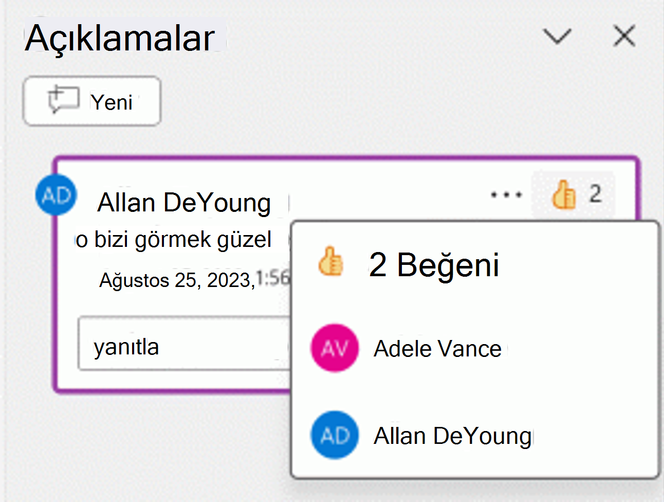 Bir açıklamaya verilen olumlu tepkinin ekran görüntüsü