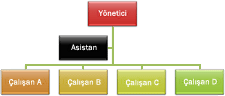 Standart asılı düzeninde kuruluş şeması