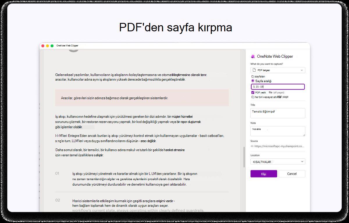 Ayarlar için bir yan panelin bulunduğu bir PDF sayfasının ekran görüntüsü. Üstteki metinde PDF'den sayfa kırpılması yazıyor.