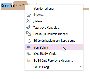 OneNote'a yeni bölüm ekleyin.