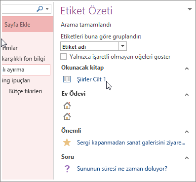 Etiket Özeti bölmesinde etiketli notlar için arama yapma