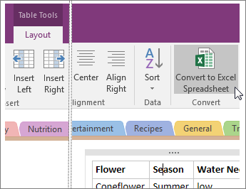 OneNote 2016’daki Excel Elektronik Tablosuna Dönüştür düğmesinin ekran görüntüsü.