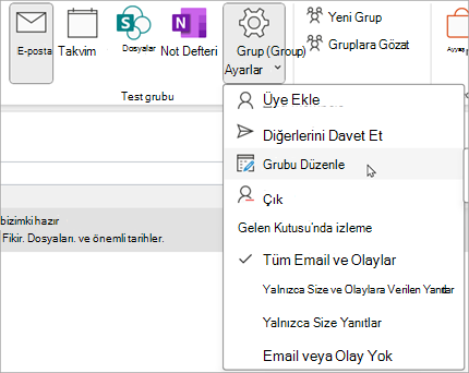 Şeritte Grup Ayarları > Grubu Düzenle'yi seçin