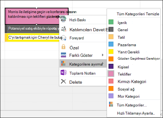 Randevuya sağ tıklayıp kategori atayabilirsiniz.
