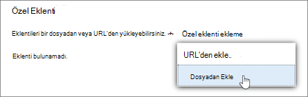 Özel eklentiler